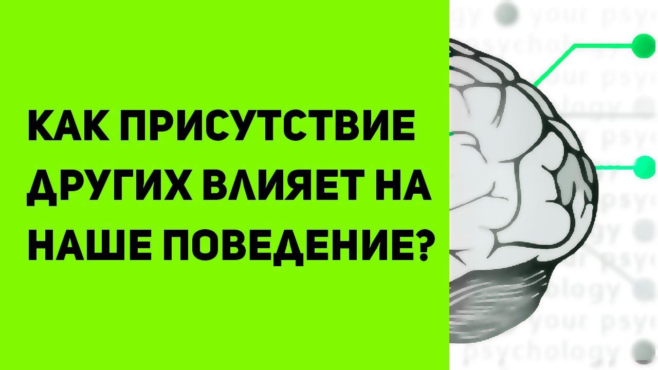 Как люди влияют на нас? | Что такое социальная фасилитация и ингибиция смотреть онлайн
