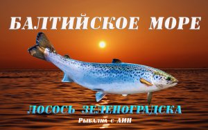 Маленький лосось в прекрасном море 2023 г