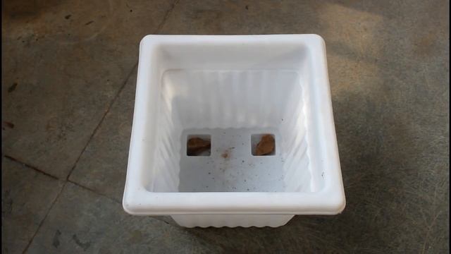 EASIEST Way To Propagate Anthurium Plant смотреть онлайн