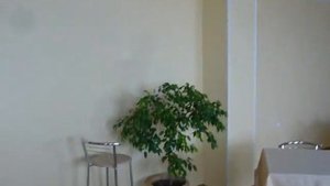 санаторий "Барнаульский"