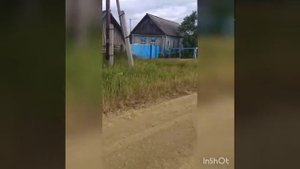 Деревня берёзовка