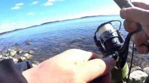 Весенняя Рыбалка на Донки! Рыбалка на Сига. Вот Так Открытие Сезона 2020!