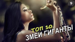 ?САМЫЕ БОЛЬШИЕ ЗМЕИ МИРА! [ТОП 10]