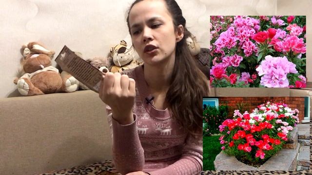 Покупка семян в Магните | Шикарные цветы и помидоры смотреть онлайн