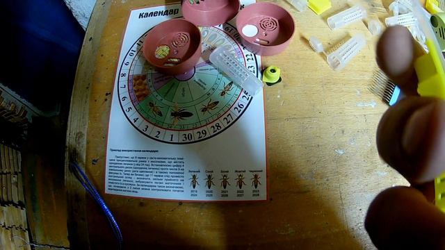 Ловля роев Какие ловушки на роев использовать в роеловстве смотреть онлайн