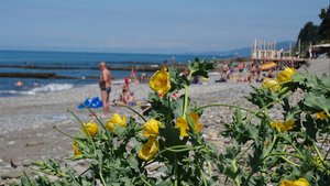 Пляж в Волконка. Лазаревский район города Сочи.