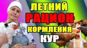 Летнее кормление кур, повышаем яйценоскость.