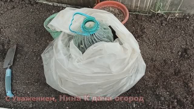 ПРИ ТАКОМ ВЫРАЩИВАНИИ ОГУРЦОВ, СВОИ ОГУРЦЫ ЕДИМ УЖЕ В МАЕ в Сибири Огурцы в ведре сажаем в апреле