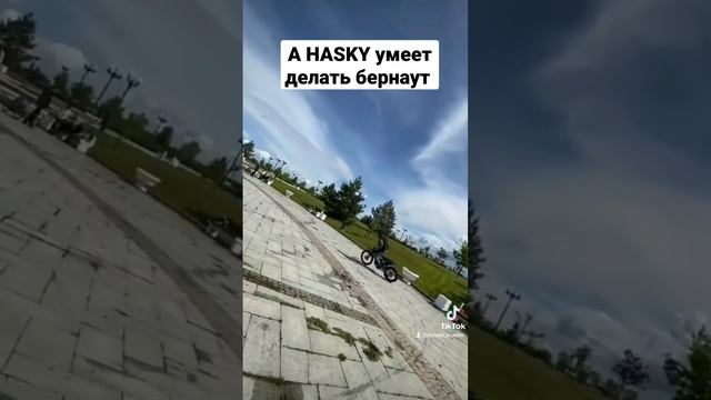 Бернаут на хаски ф5