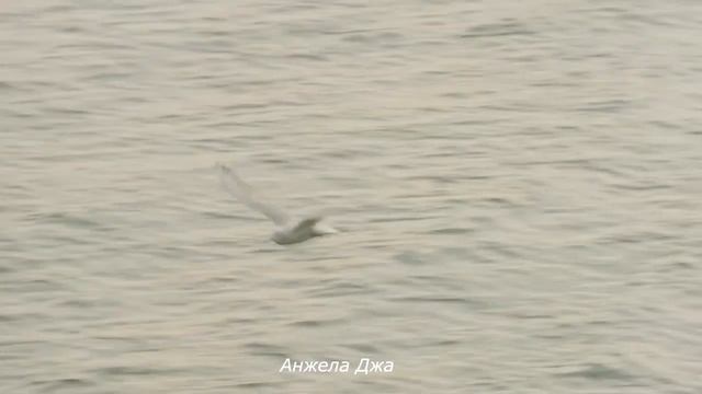 Я любила тебя.Seni Severdim. смотреть онлайн