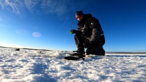 Ловля ротана зимой, секретная наживка.