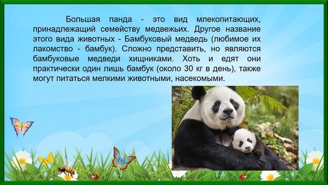 Экологический калейдоскоп смотреть онлайн