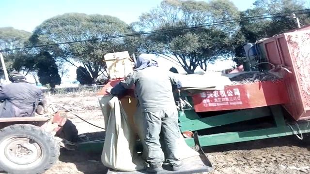 23.10.2017 Заметки из Китая. Комбайн для сбора арахиса смотреть онлайн