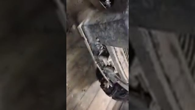 Baltmotors 700 jumbo Последствия жесткого оффрод пробега смотреть онлайн