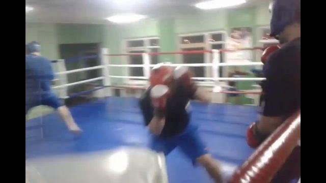 Бокс   спарринги смотреть онлайн