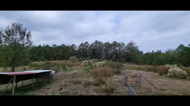 ДЕШЕВЫЙ ДОМ С ПРУДОМ, АЙВОЙ И ШЕРШНЯМИ ВПРИДАЧУ смотреть онлайн