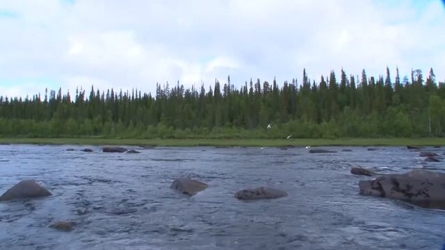 Варзуга-2011.mp4 смотреть онлайн