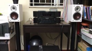 Dali Spektor 2 Speaker