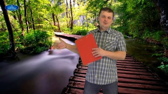 МНОГОЛЕТНИКИ, КОТОРЫЕ УКРАСЯТ ЛЮБОЙ ПАЛИСАДНИК!!!!