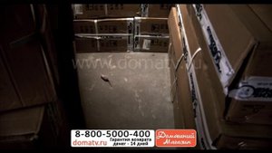 Отпугиватель насекомых и грызунов "Защитник". Как быстро избавится от насекомых, грызунов, крыс.