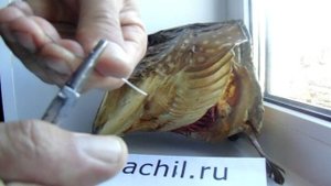 Изготовление топвотера для рыбалки своими руками.avi