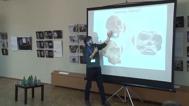 Пути предков. Миграции в древности и открытие мира. Станислав Дробышевский. смотреть онлайн