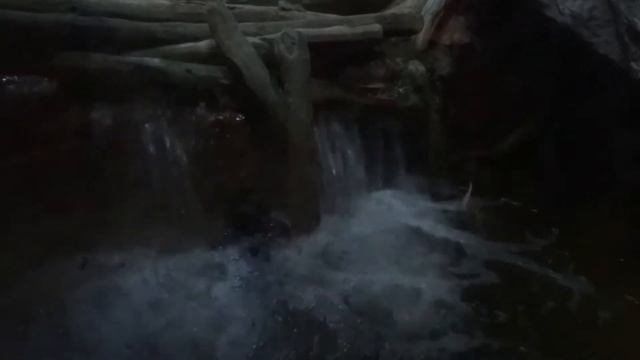 Здесь живут Бобры смотреть онлайн