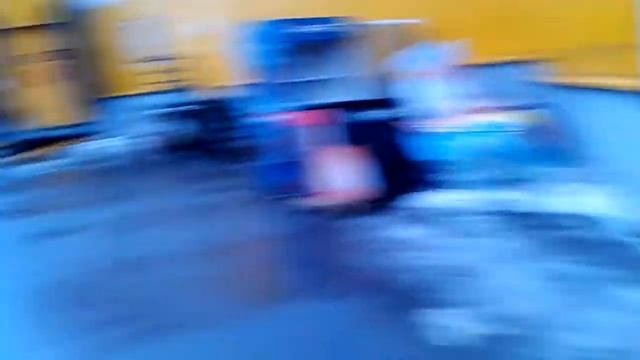 Лайка овчарка,смешной пёс.1 смотреть онлайн