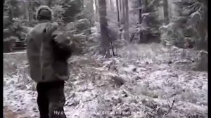 Приколы на Охоту КАБАНА Кабан что