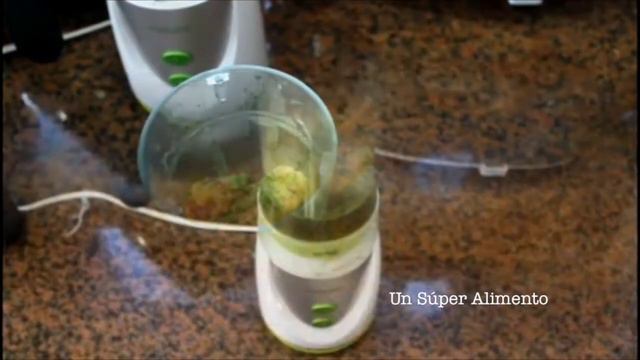 Smoothie de Moringa en Chile (Prepara tu Batido) смотреть онлайн