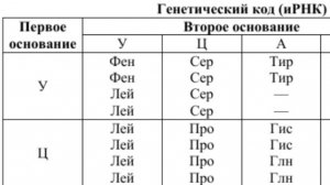 Биосинтез белка. Решение задач. Подготовка к егэ по биологии.
