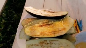 Баклажаны на мангале