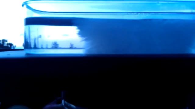 Горячий лёд (Домашний эксперимент) смотреть онлайн