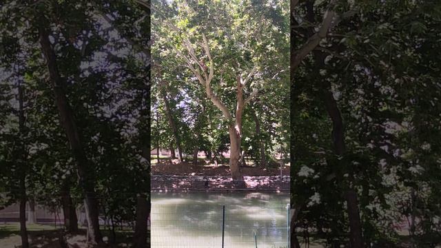 Защищай детей, не защищай все равно прыгнет смотреть онлайн