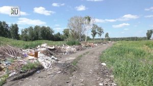 Огромная свалка в лесу на окраине села Каширино растет изо дня в день