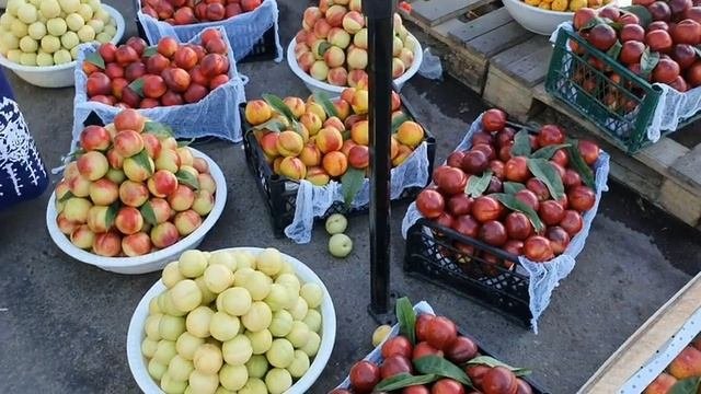 Uzbekistan Tashkent КУЙЛЮК ОПТОВЫЙ РЫНОК