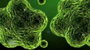 МОЁ МНЕНИЕ О SPORE ИЛИ ПОЧЕМУ СТОИТ ИГРАТЬ В SPORE