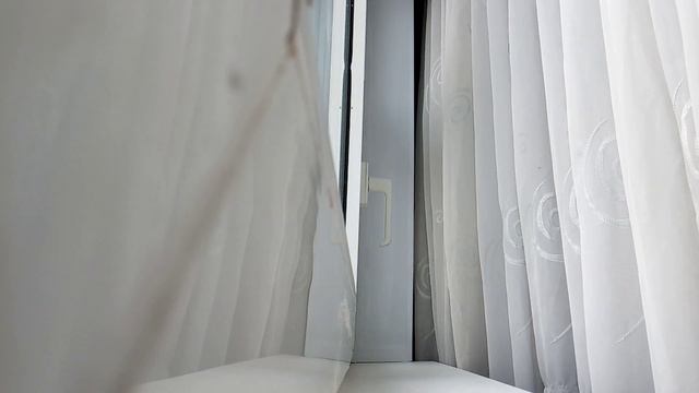 Когда кот не хочет сделать смотреть онлайн