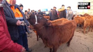 БЕРУНИЙ МОЛ БОЗОРИ 05.03.2023