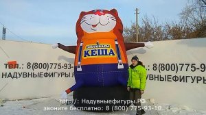 Аэромены- зазывалы с машущей рукой. Надувной Кот