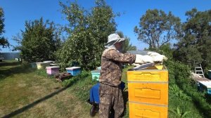 СКОЛЬКО МЁДА ПРИНЕСЛИ ПЧЁЛЫ В ДЕСЯТИРАМОЧНОМ УЛЬЕ БЕНИНХАУС, ФОРМИРОВАНИЕ ГНЕЗДА В ЗИМУ.