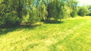 демонстрация Электросамокат Acer ES Series 3 MAX AES203 What is this