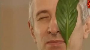 Доктор Попов Зрение