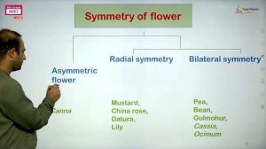 Inflorescence | Symmetry of Flower | Insertion of Floral Leaves | NEET Botany | Class 11