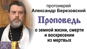 Проповедь о земной жизни, смерти и воскресении из мертвых (2022.04.15). Прот. Александр Березовский
