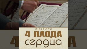 4 плода сердца