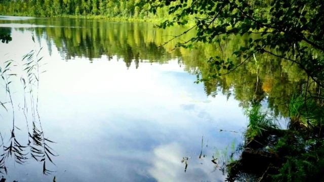 «Сияние» гармонизирующая музыка, гусли. С. Виноградова. (Лада для Светы.)