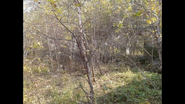 остров Русский в.ч69268 1986-2013г смотреть онлайн