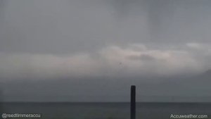 Летающие коровы в эпицентре торнадо