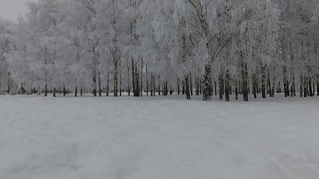 Зимнее настроение: природа, снег, деревья и красивая музыка для души
